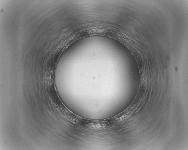 X0000059240464200511041312