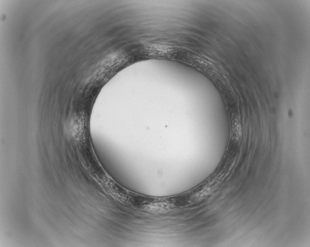 X0000059240468200511041312