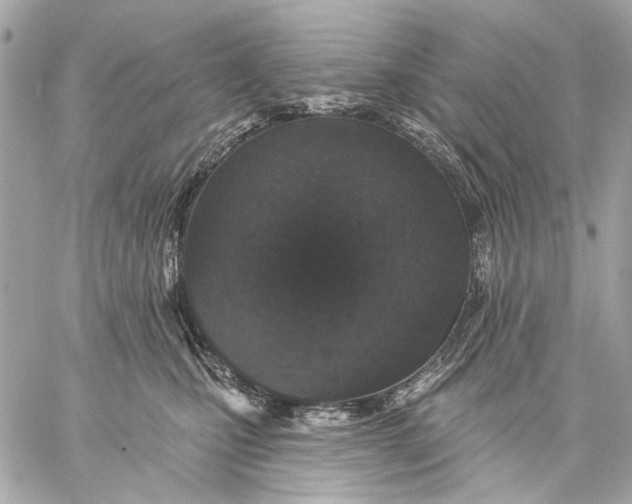 X0000059240471200511041312