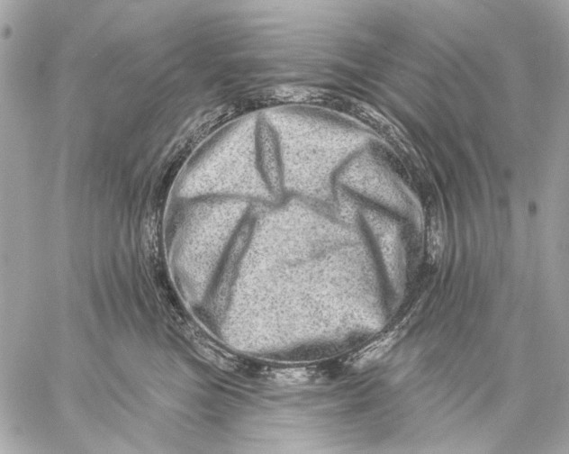X0000059240473200511041312