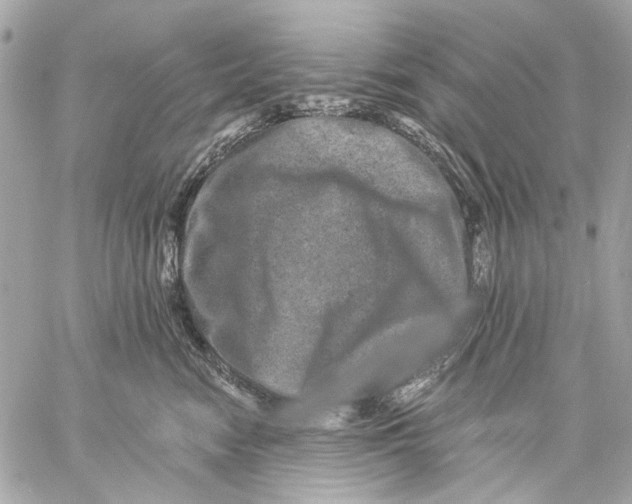 X0000059240474200511041312