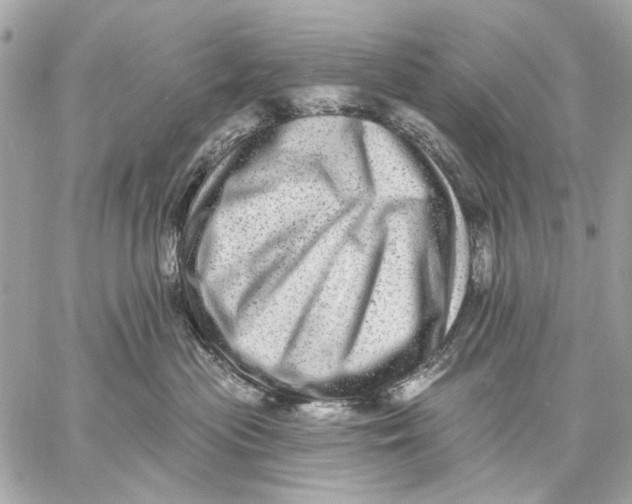 X0000059240477200511041312