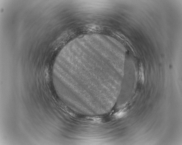 X0000059240520200511041311