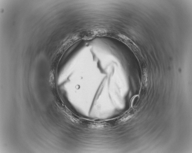 X0000059240523200511041311