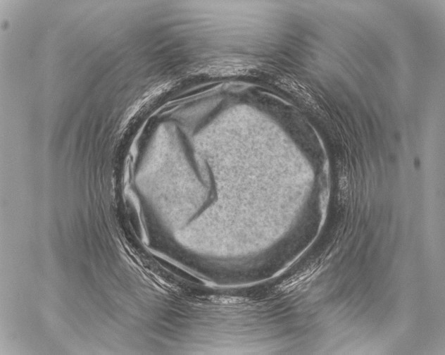 X0000059240539200511041310