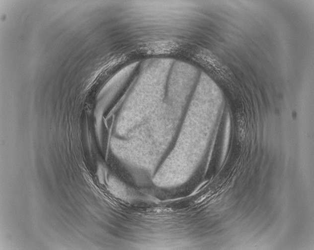 X0000059240543200511041310
