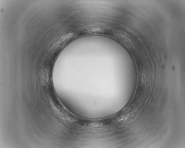 X0000059240546200511041310