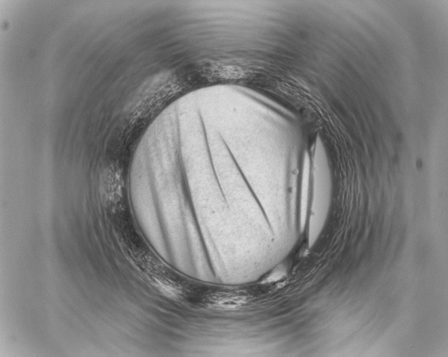 X0000059240555200511041310