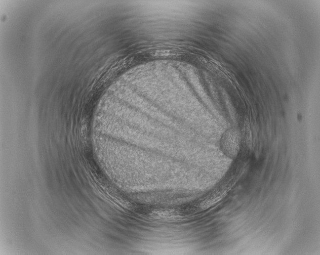 X0000059240557200511041310