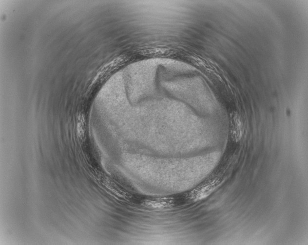 X0000059240563200511041310