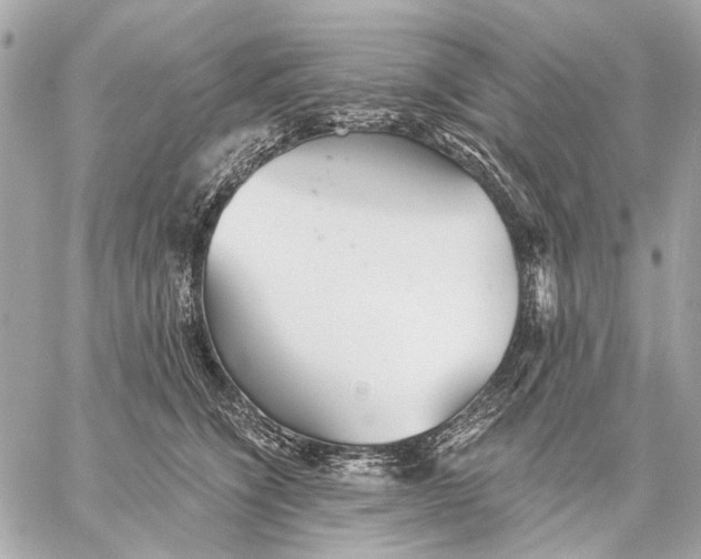 X0000059240564200511041310