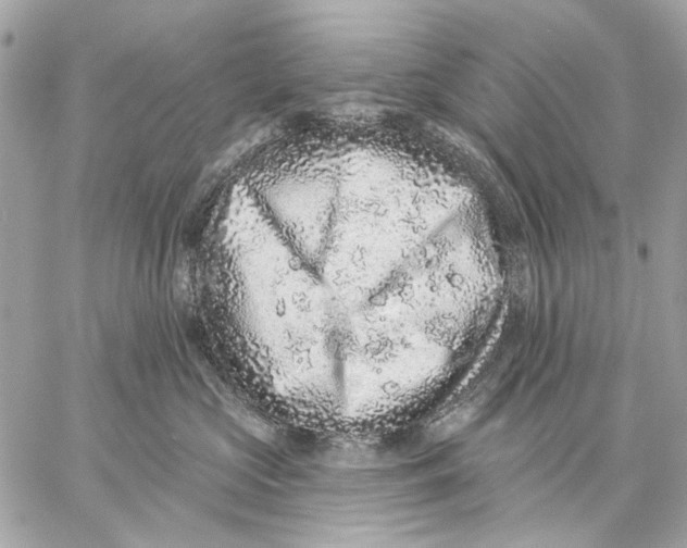 X0000059240573200511041311