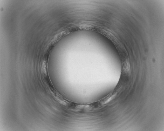 X0000059240575200511041311