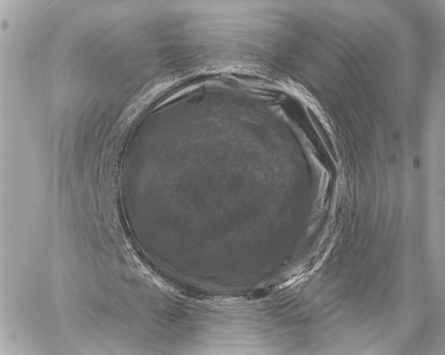 X0000059240577200511041310