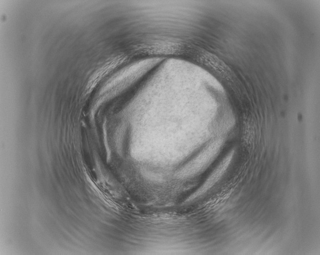 X0000059240586200511041310