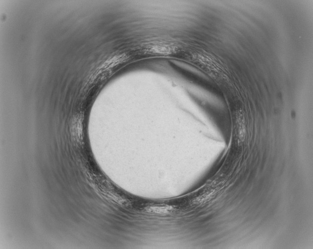 X0000059240595200511041310
