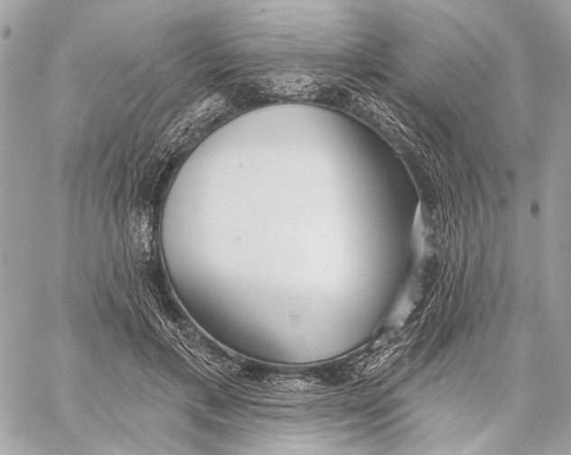 X0000059240597200511041310
