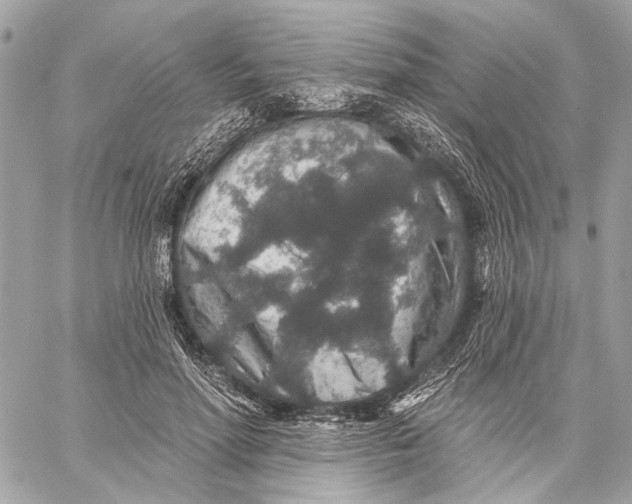 X0000059240598200511041309