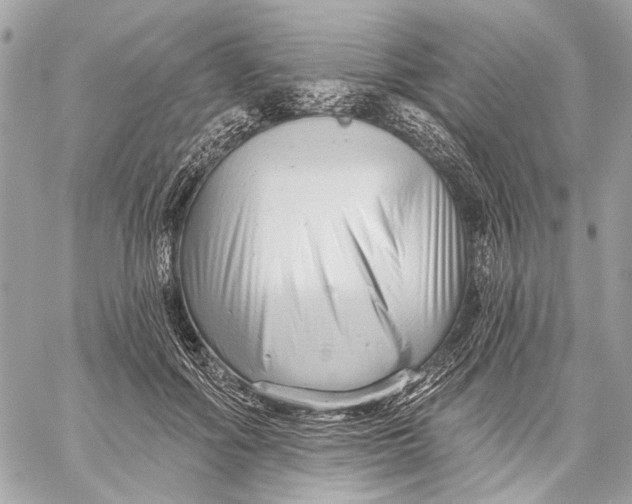 X0000059240602200511041309