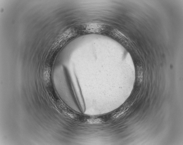 X0000059240603200511041309