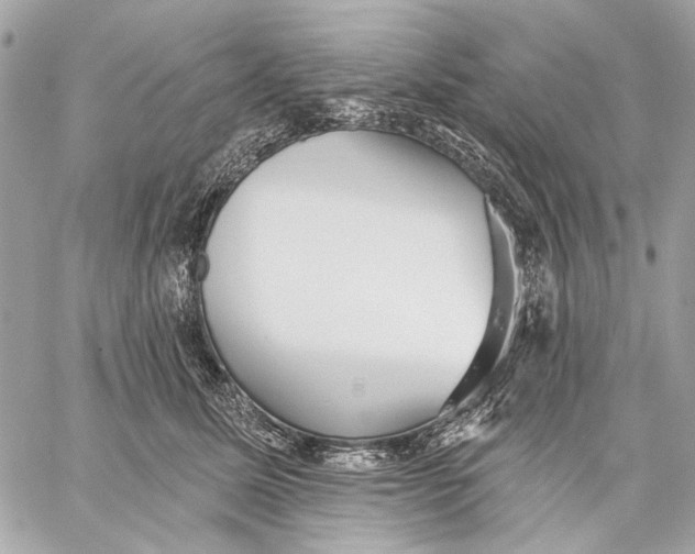 X0000059240611200511041309