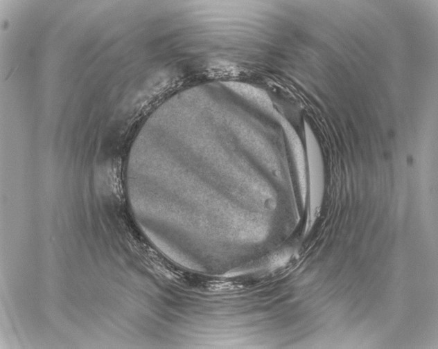 X0000059240616200511041309