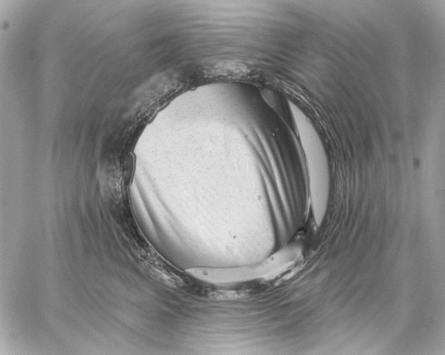 X0000059240617200511041309