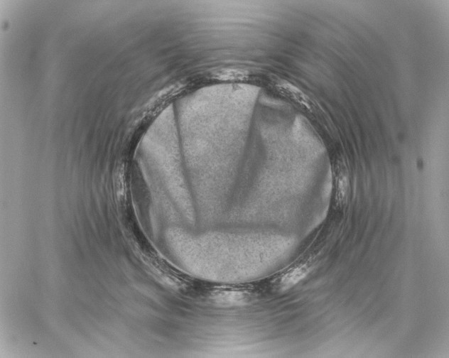 X0000059240620200511041309