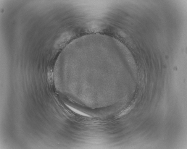 X0000059240624200511041309