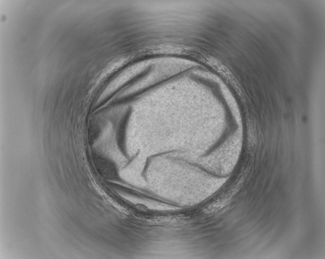 X0000059240625200511041308