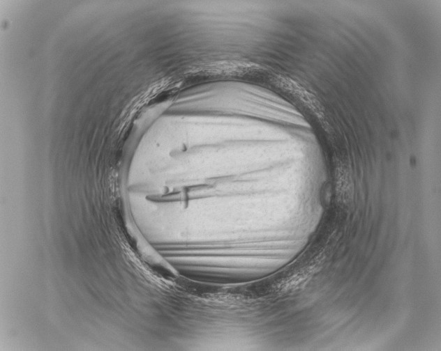 X0000059240633200511041308