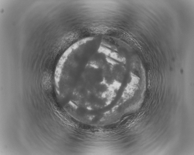 X0000059240641200511041309