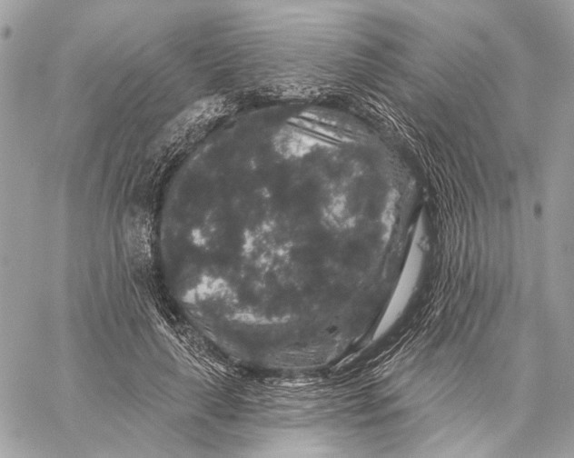 X0000059240643200511041309