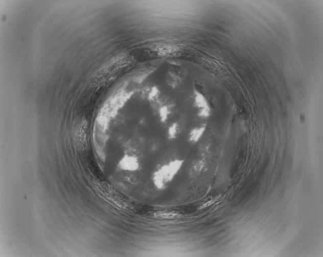 X0000059240650200511041309