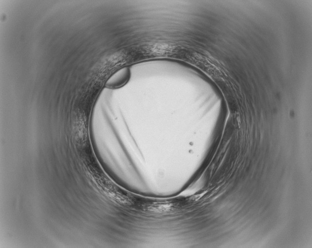 X0000059240651200511041309