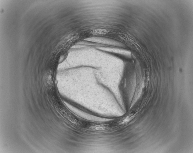 X0000059240655200511041309