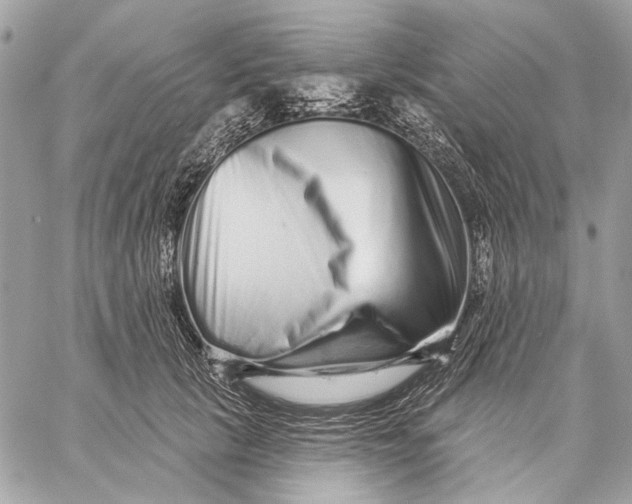 X0000059240657200511041309