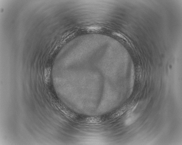 X0000059240660200511041309