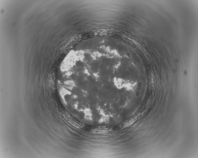 X0000059240661200511041309