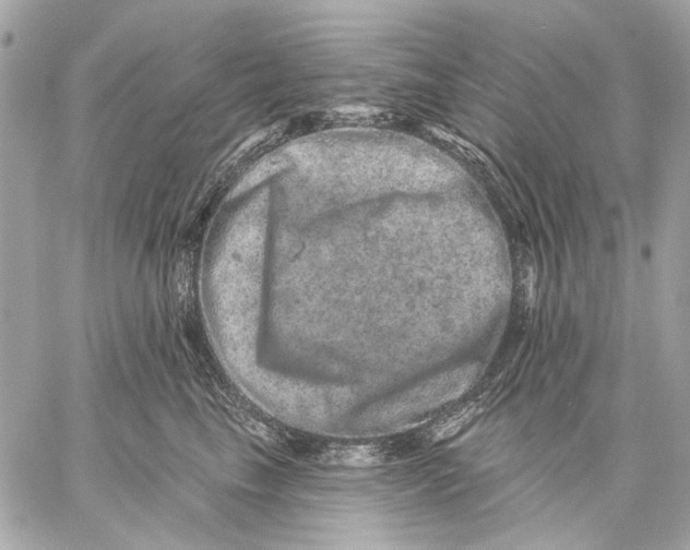 X0000059240665200511041309