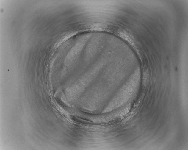 X0000059240673200511041308