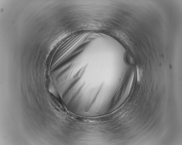 X0000059240675200511041308