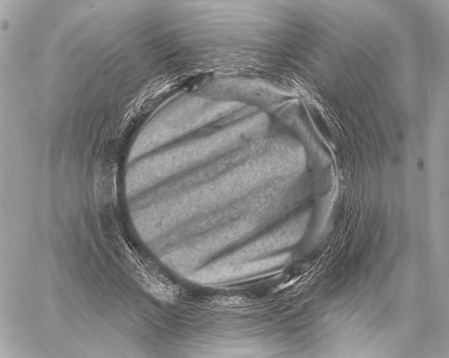 X0000059240685200511041308