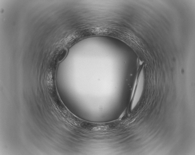 X0000059240700200511041308