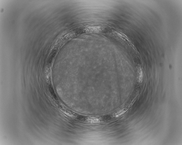 X0000059240701200511041308