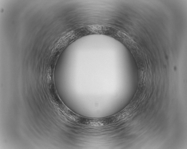 X0000059240702200511041308