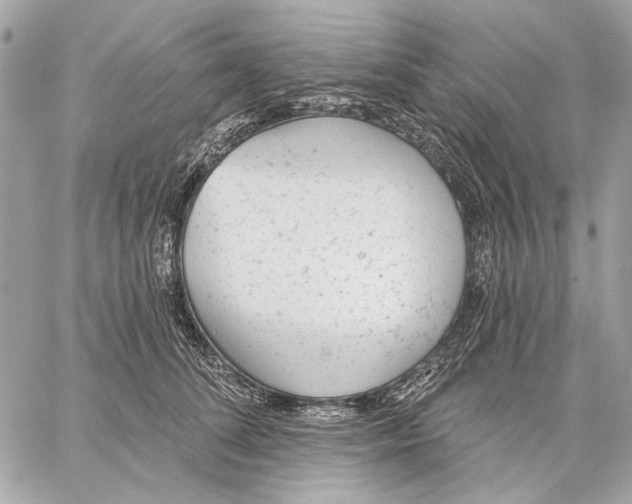 X0000059240708200511041308
