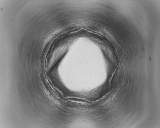 X0000059240725200511041307