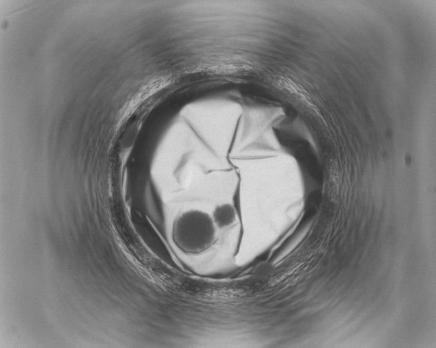 X0000059240734200511041307