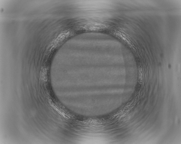 X0000059240738200511041307